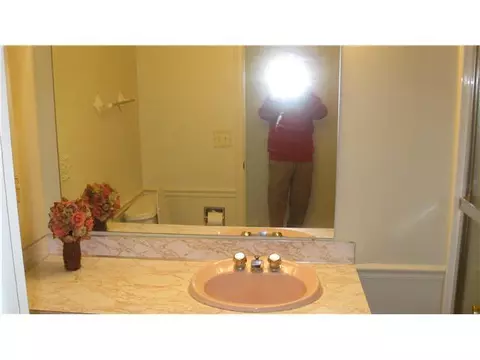 1330 Sandhill, Dewitt, MI 48820 photo 10