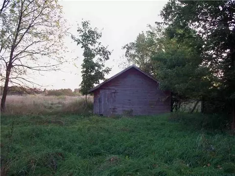 8142 Peckins, Lyons, MI 48851 photo 23