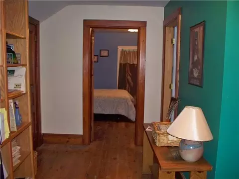 8142 Peckins, Lyons, MI 48851 photo 9