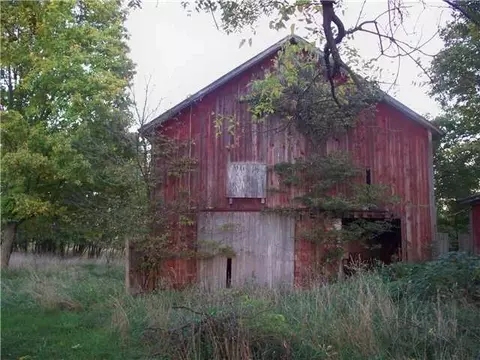 8142 Peckins, Lyons, MI 48851 photo 25