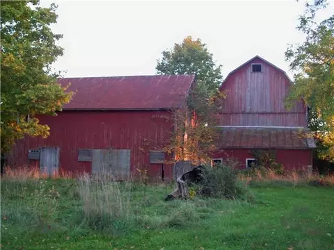 8142 Peckins, Lyons, MI 48851 photo 22