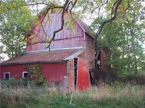 8142 Peckins, Lyons, MI 48851 photo 24