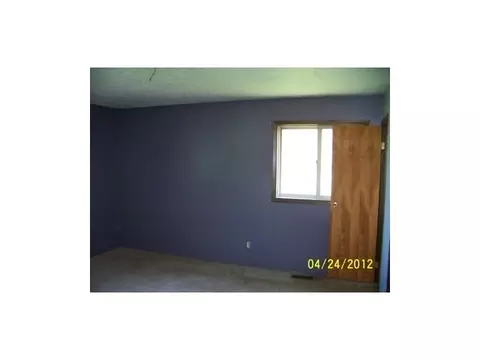 11487 Wood Rd, Dewitt, MI 48820 photo 6
