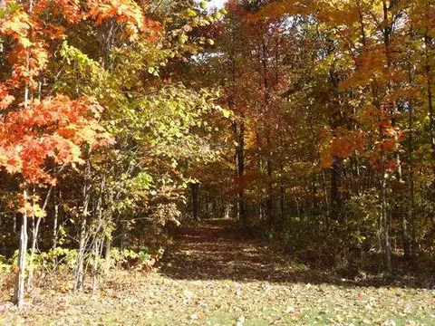11497 Bauer Rd, Eagle, MI 48822 photo 25