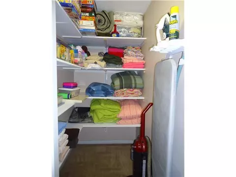 11497 Bauer Rd, Eagle, MI 48822 photo 20