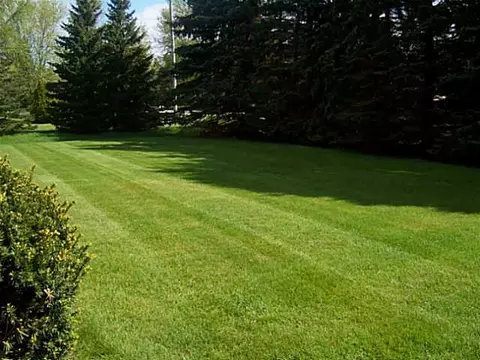 12666 Airport Rd, Dewitt, MI 48820 photo 4