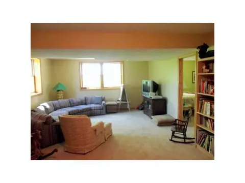 11634 Hardwood Dr, Dewitt, MI 48820 photo 20