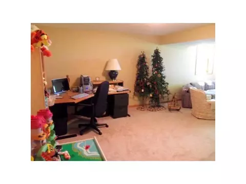 11634 Hardwood Dr, Dewitt, MI 48820 photo 21