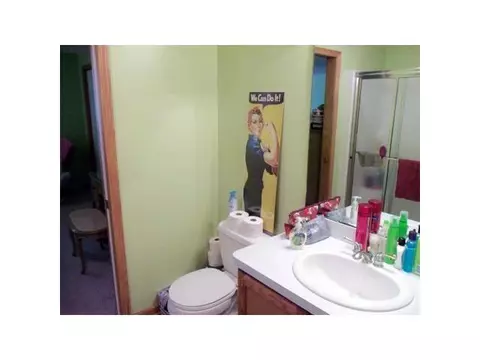 11634 Hardwood Dr, Dewitt, MI 48820 photo 19