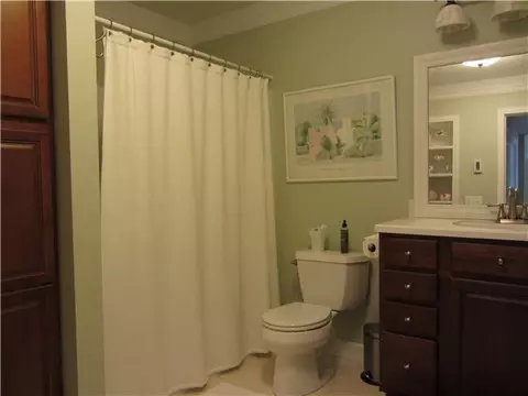 2533 Julie Way, Dewitt, MI 48820 photo 20