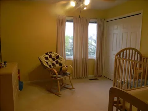 2547 Julie Way, Dewitt, MI 48820 photo 17