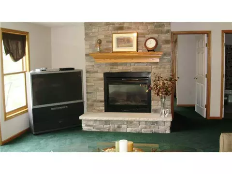 502 W Dill Dr, Dewitt, MI 48820 photo 12