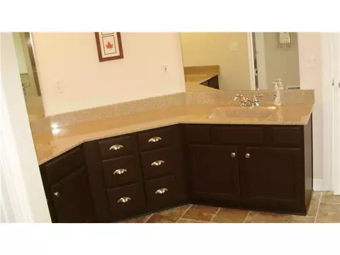 502 W Dill Dr, Dewitt, MI 48820 photo 9