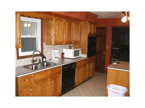 1465 E Wilson, Ashley, MI 48806 photo 4