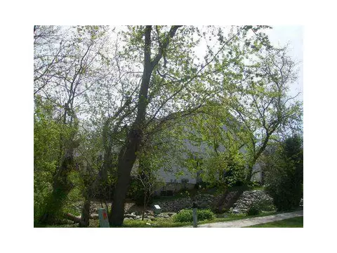 5704 Shaw #1, Haslett, MI 48840 photo 10