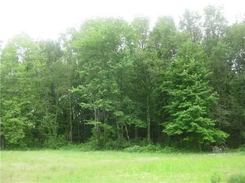 4858 Ballantine, Bath, MI 48808 photo 4