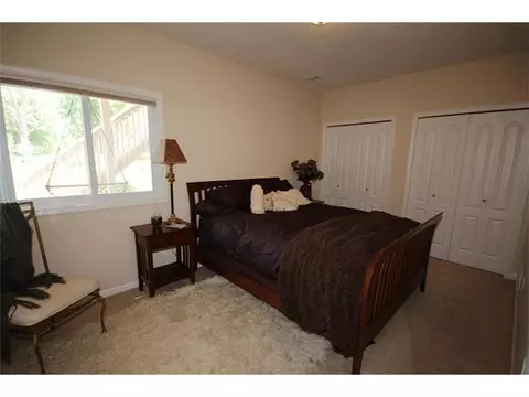 11791 Rachel Ln, Dewitt, MI 48820 photo 20