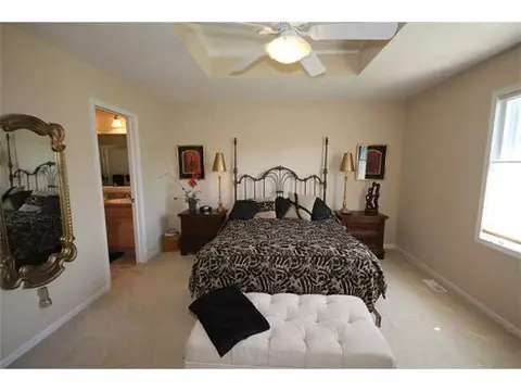 11791 Rachel Ln, Dewitt, MI 48820 photo 10