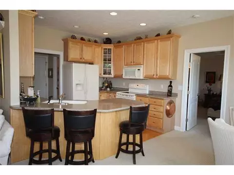 11791 Rachel Ln, Dewitt, MI 48820 photo 7