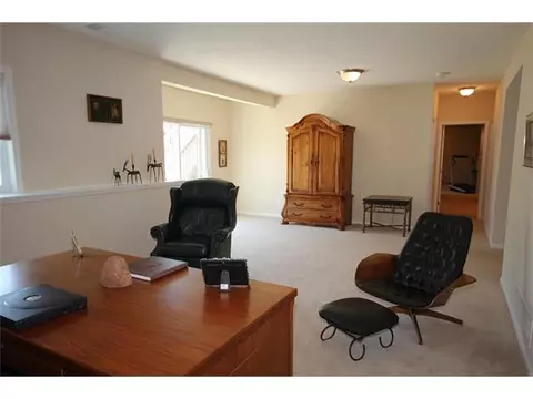 11791 Rachel Ln, Dewitt, MI 48820 photo 18