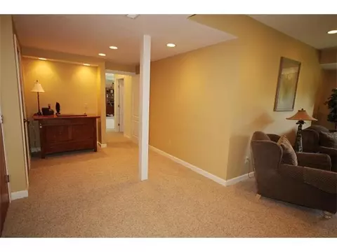 11791 Rachel Ln, Dewitt, MI 48820 photo 21
