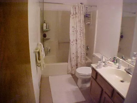 3979 E Sunwind Dr, Okemos, MI 48864 photo 8