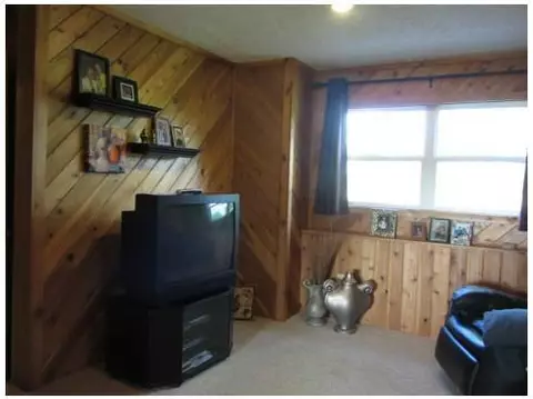 10370 S Francis, Dewitt, MI 48820 photo 18