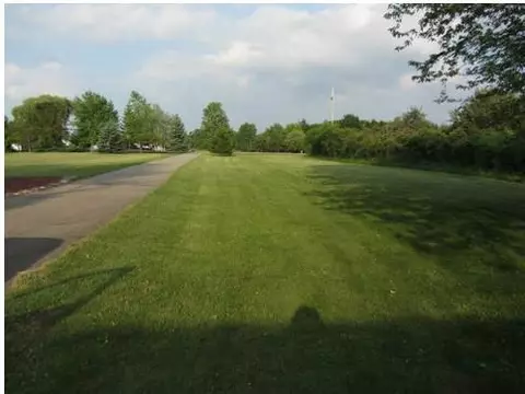 10370 S Francis, Dewitt, MI 48820 photo 25