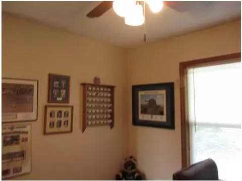 10370 S Francis, Dewitt, MI 48820 photo 16