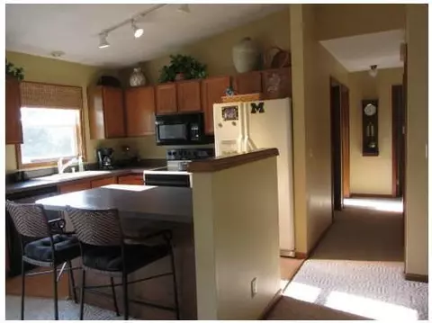 10370 S Francis, Dewitt, MI 48820 photo 9
