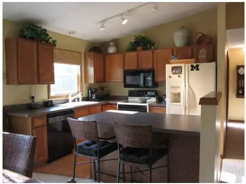 10370 S Francis, Dewitt, MI 48820 photo 6