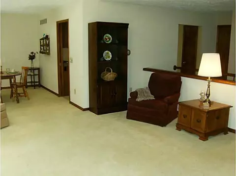 4482 Comanche Dr, Okemos, MI 48864 photo 6