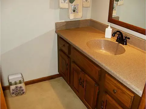 4482 Comanche Dr, Okemos, MI 48864 photo 24