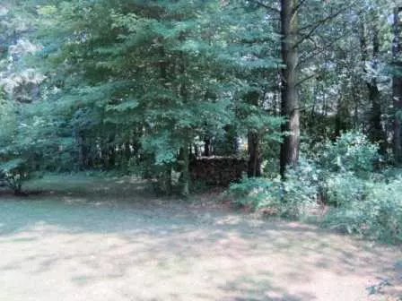12130 Beardslee Rd, Perry, MI 48872 photo 16