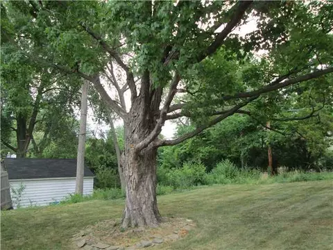 2826 Timber, Lansing, MI 48917 photo 18
