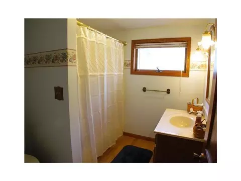 219 E Adelaide, Maple Rapids, MI 48853 photo 6