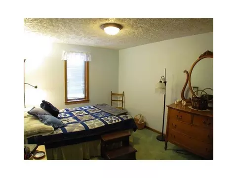219 E Adelaide, Maple Rapids, MI 48853 photo 5