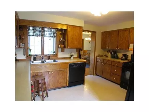 219 E Adelaide, Maple Rapids, MI 48853 photo 7