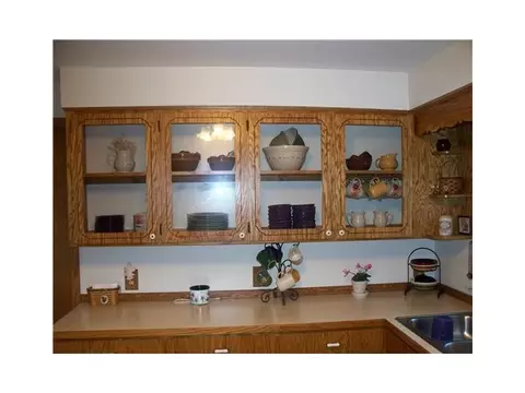 219 E Adelaide, Maple Rapids, MI 48853 photo 8