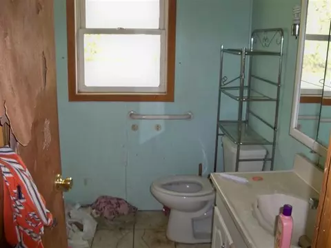 11007 Babcock, Bath, MI 48808 photo 7