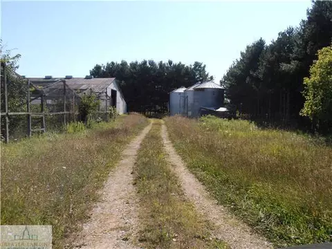 7303 Delaney, Owosso, MI 48867 photo 20