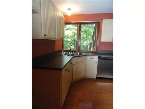 323 Mill St, Williamston, MI 48895 photo 6