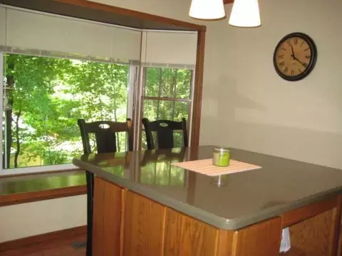 1008 Elmwood, Dewitt, MI 48820 photo 7
