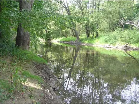 1008 Williams St, Williamston, MI 48895 photo 22