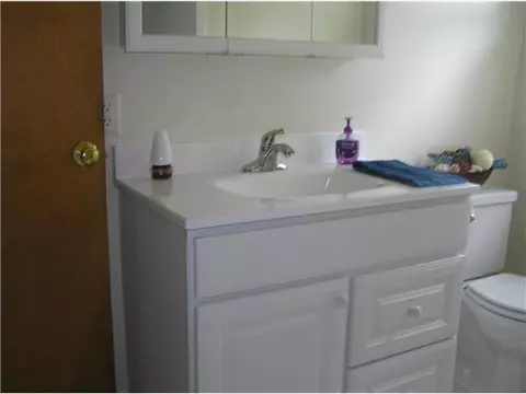 1008 Williams St, Williamston, MI 48895 photo 9