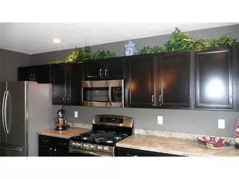6210 Fishbrook, Dimondale, MI 48821 photo 6