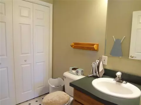 12477 S Wright Rd, Eagle, MI 48822 photo 21