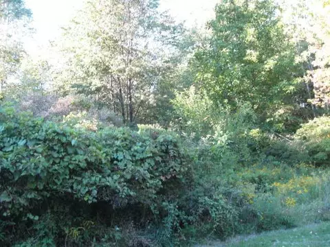 2285 Haslett Rd, Williamston, MI 48895 photo 22