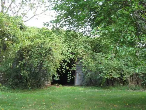 2285 Haslett Rd, Williamston, MI 48895 photo 24