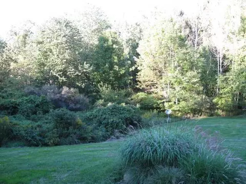 2285 Haslett Rd, Williamston, MI 48895 photo 17